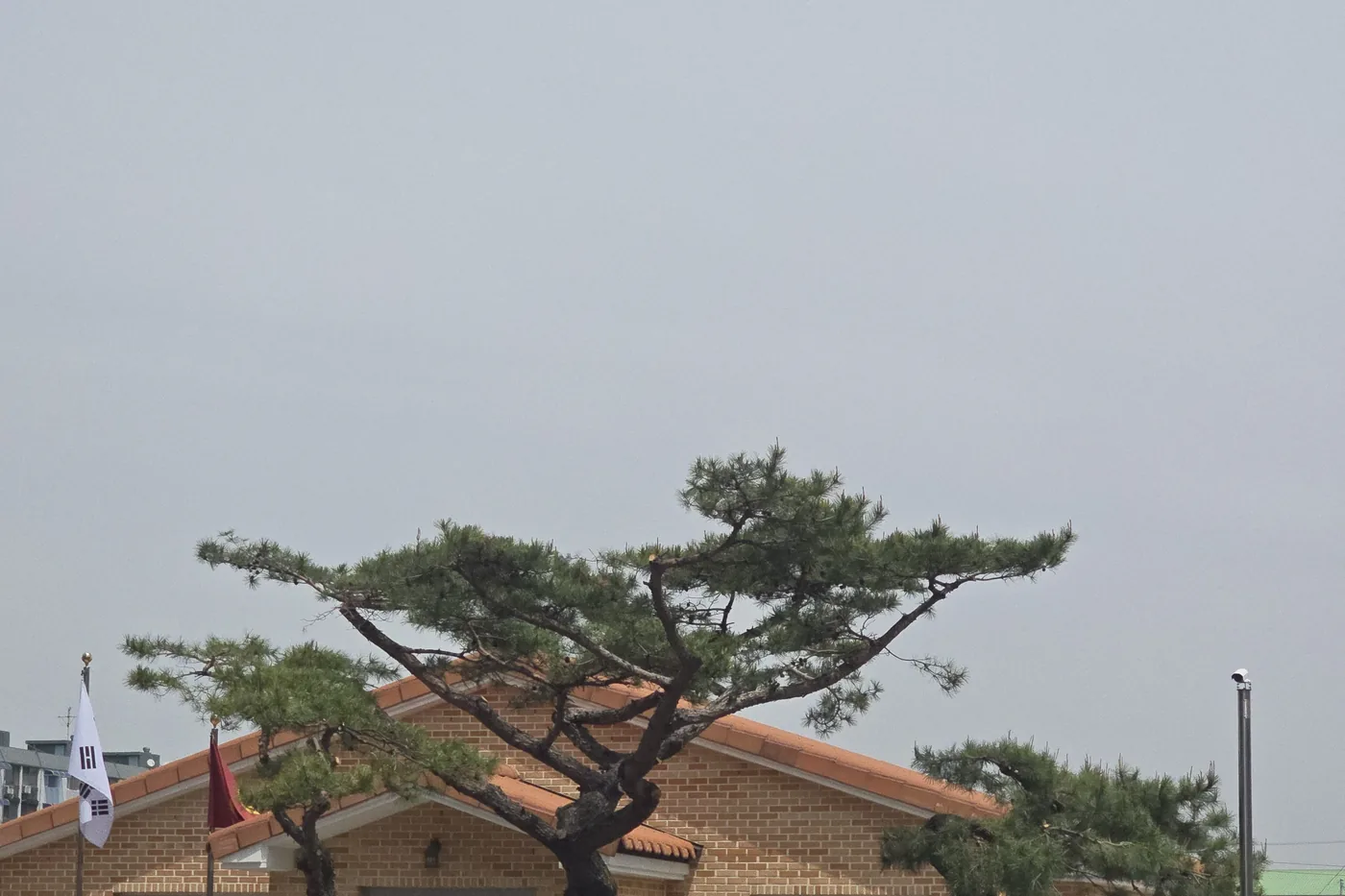 건물 옆 정돈된 소나무 군, 국기게양대 배경