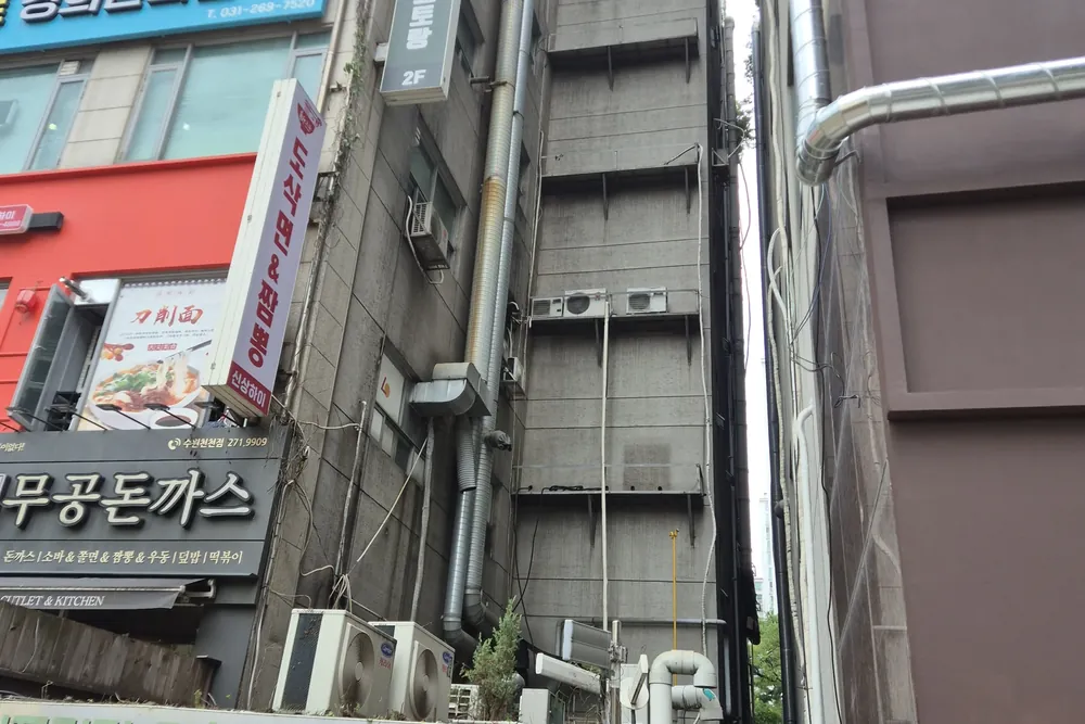 도심 상가 건물 옥상, 절단목 정리 완료